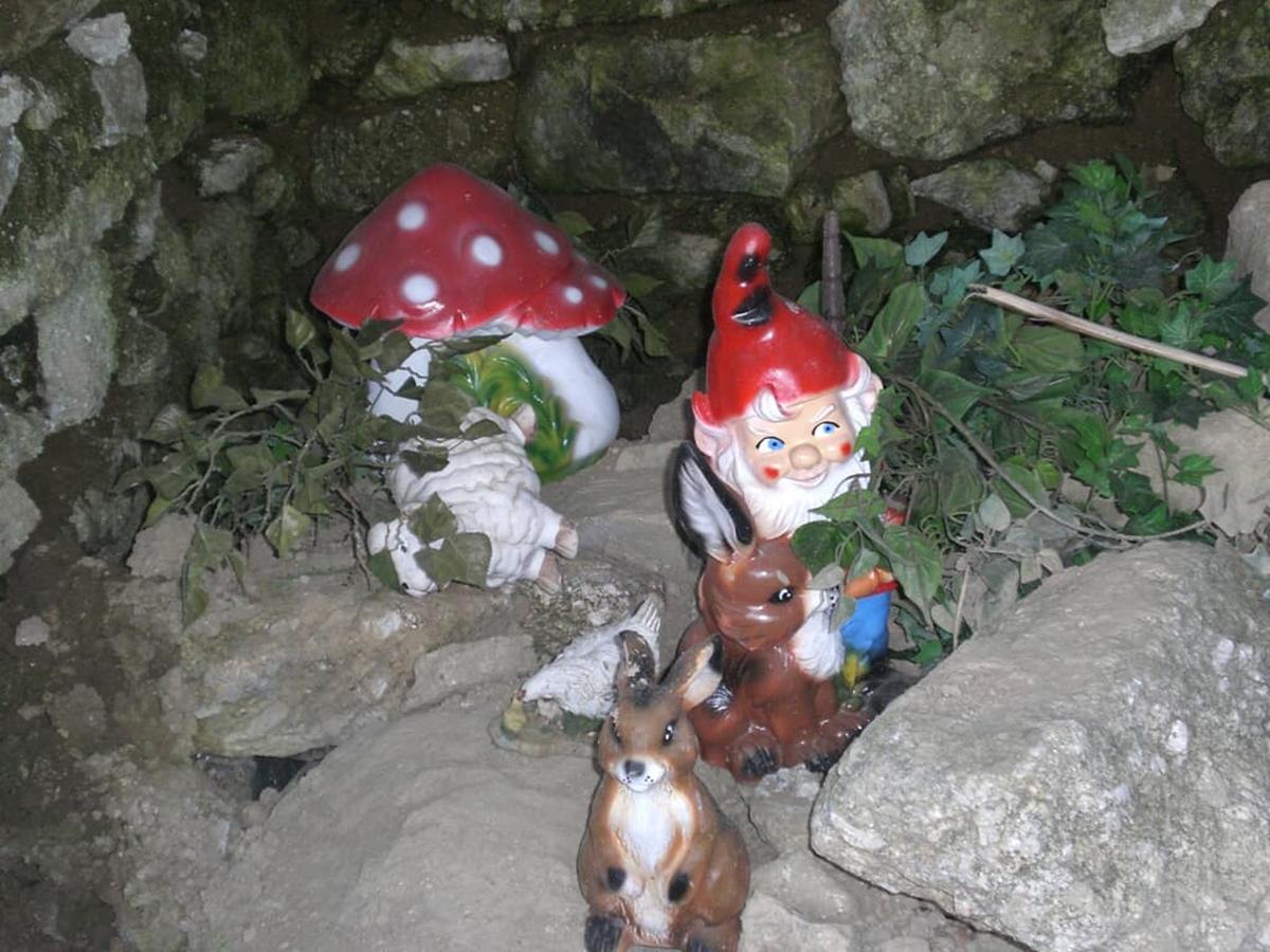 Bauernhofpension Runenhof Haidmühle Dış mekan fotoğraf